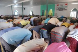 - Foundation for Human Rights and Freedoms and Humanitarian Relief (IHH)