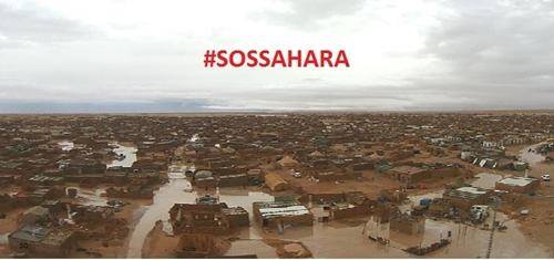 Lluvias_torrenciales_Sahara